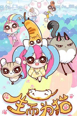 斑马街波多野结衣海报剧照